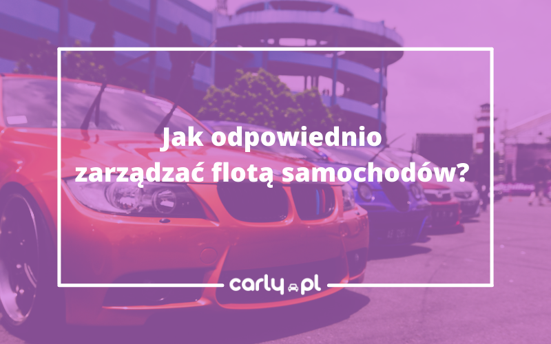 Jak odpowiednio zarządzać flotą samochodów? | Carly.pl