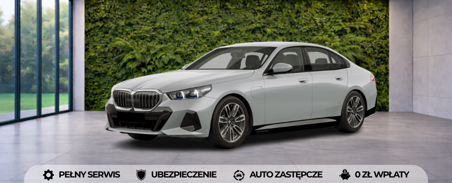 BMW 530e | Carly.pl